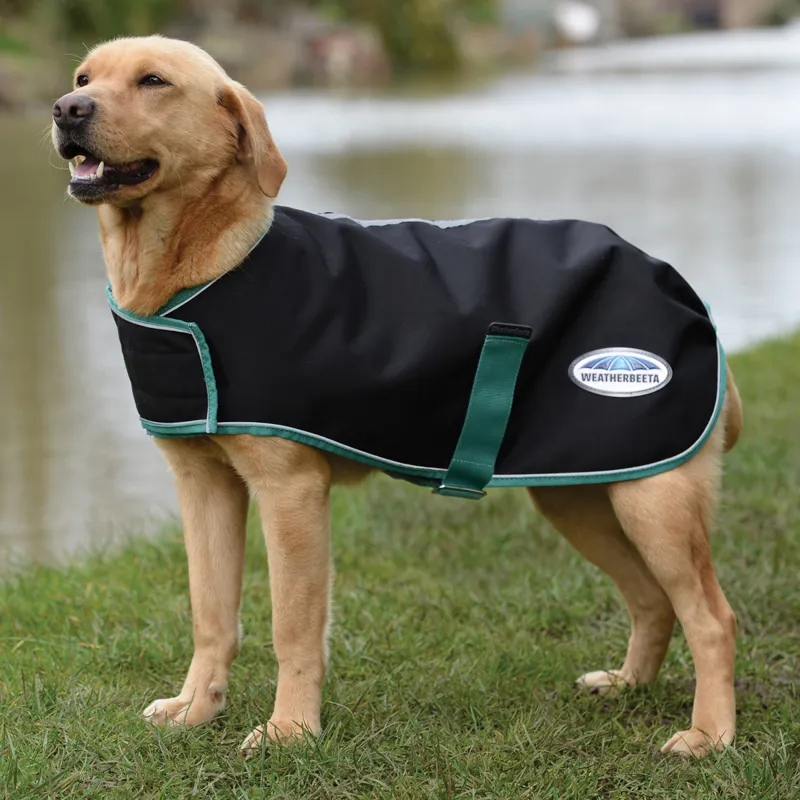 WeatherBeeta Green-Tec 900D 50g Dog Coat - Black/Bottle Green