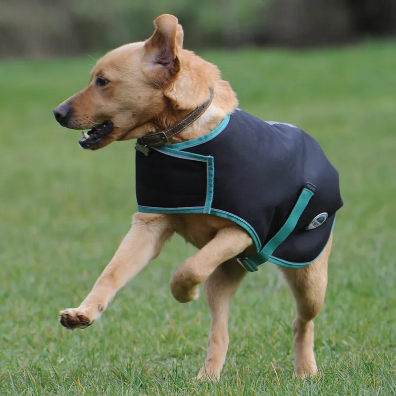 WeatherBeeta Green-Tec 900D 220g Dog Coat - Black/Bottle Green-1