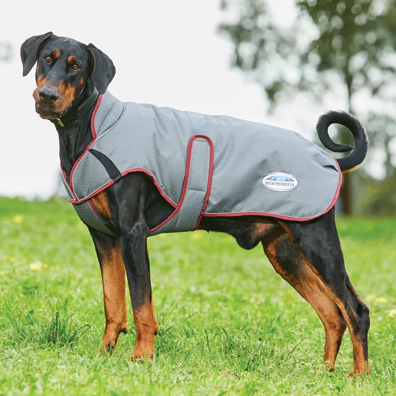Dog parka sale