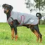 WeatherBeeta ComFiTec Premier Free Parka Deluxe Dog Coat - Grey