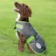 WeatherBeeta ComFiTec Premier Free Parka Dog Coat - Grey/Lime