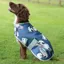 WeatherBeeta ComFiTec Premier Free Parka Dog Coat - Raccoon Print