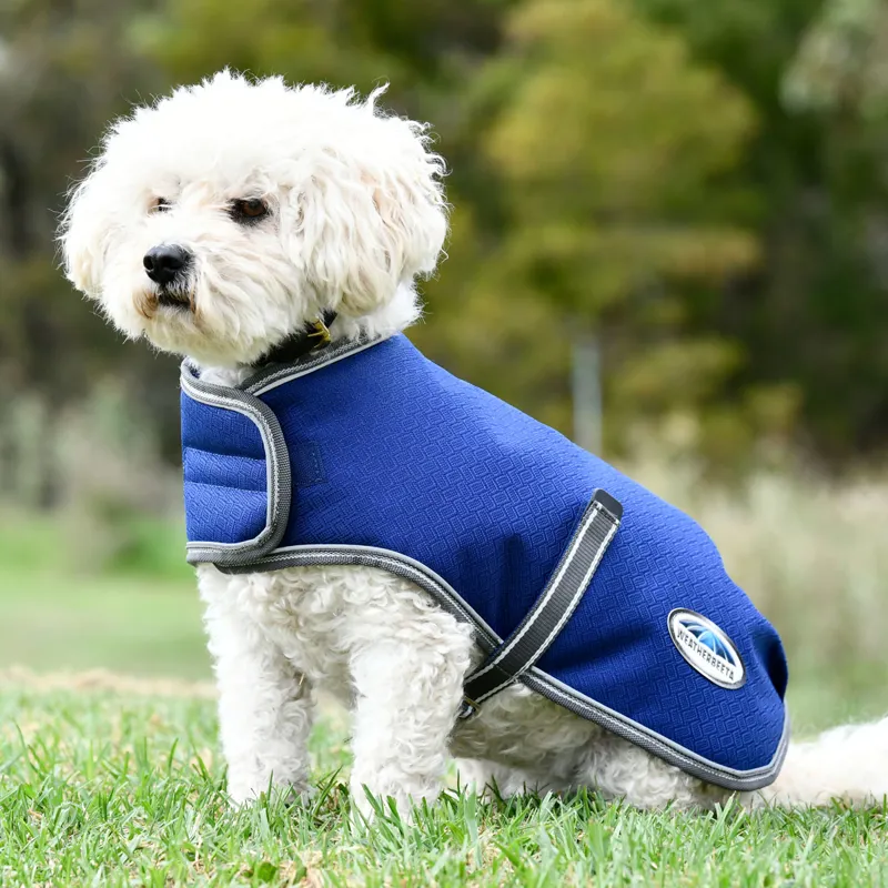 WeatherBeeta ComFiTec Premier Free 220g Parka Dog Coat - Dark Blue