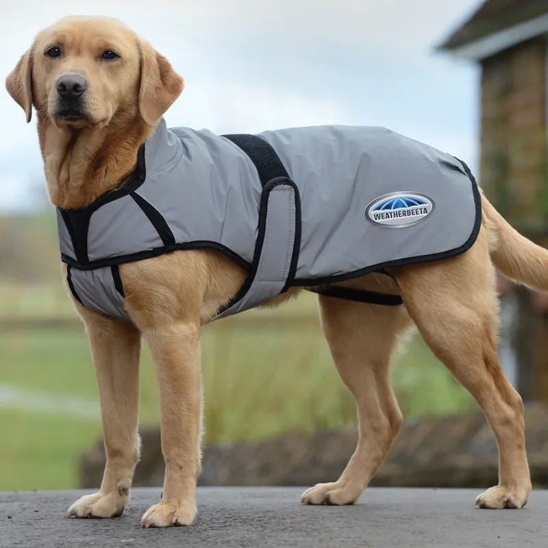 WeatherBeeta ComFiTec Reflective 220g Dog Coat - Silver