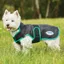 WeatherBeeta ComFiTec Windbreaker Free Deluxe Dog Coat - Black/Green
