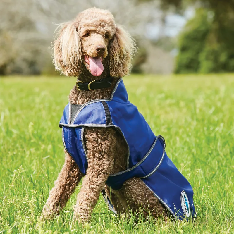 WeatherBeeta ComFiTec Windbreaker Free Deluxe Dog Coat - Dark Blue-1