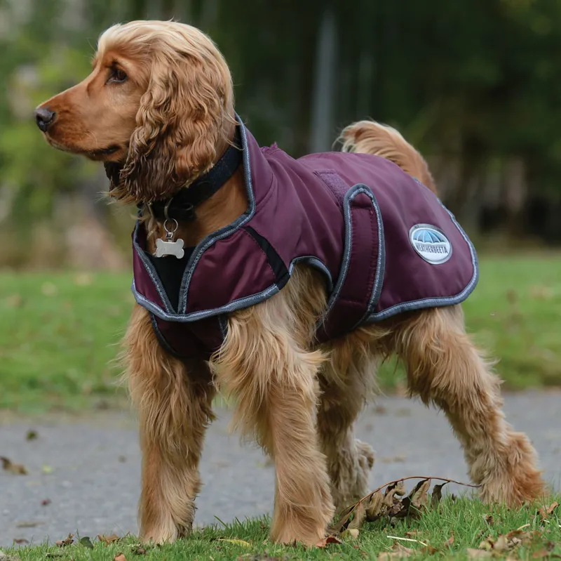 WeatherBeeta ComFiTec Windbreaker Free Deluxe Dog Coat - Maroon-1