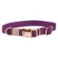 WeatherBeeta Elegance Dog Collar - Purple