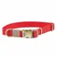 WeatherBeeta Elegance Dog Collar - Red