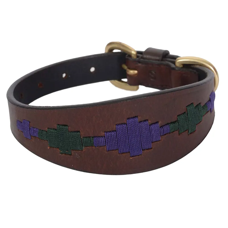 WeatherBeeta Lurcher Polo Dog Collar - Beaufort Brown/Purple/Teal