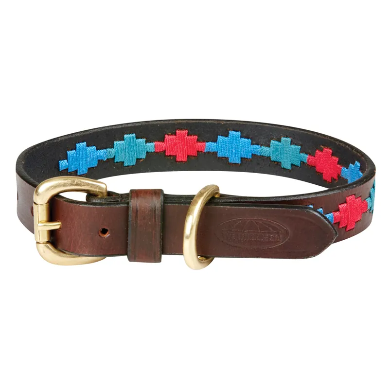 Polo sales dog collar