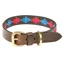 WeatherBeeta Polo Dog Collar - Beaufort Brown/Pink/Blue