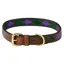 WeatherBeeta Polo Dog Collar - Beaufort Brown/Purple/Teal