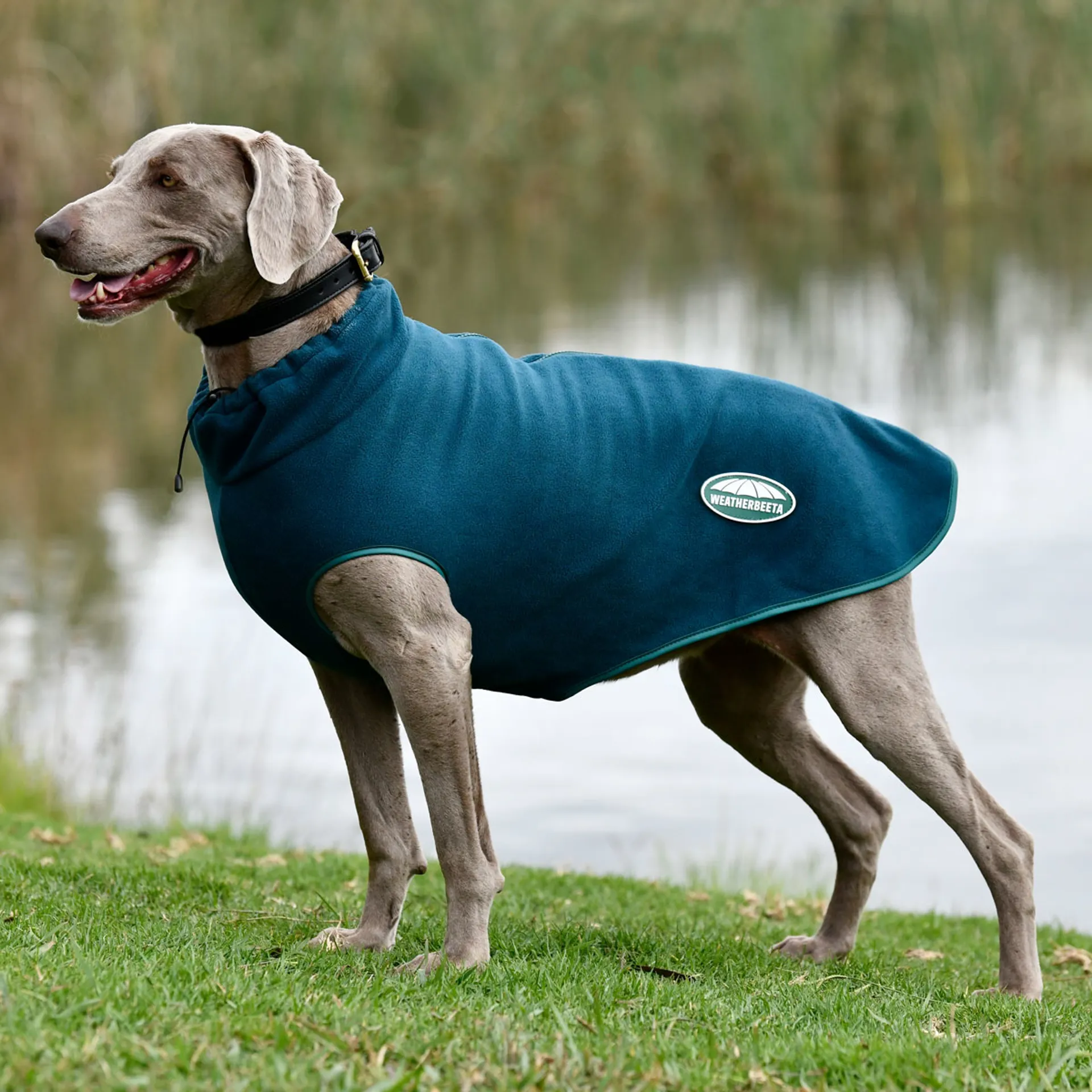 WeatherBeeta GreenTec Fleece Zip Dog Coat Dragonfly Blue
