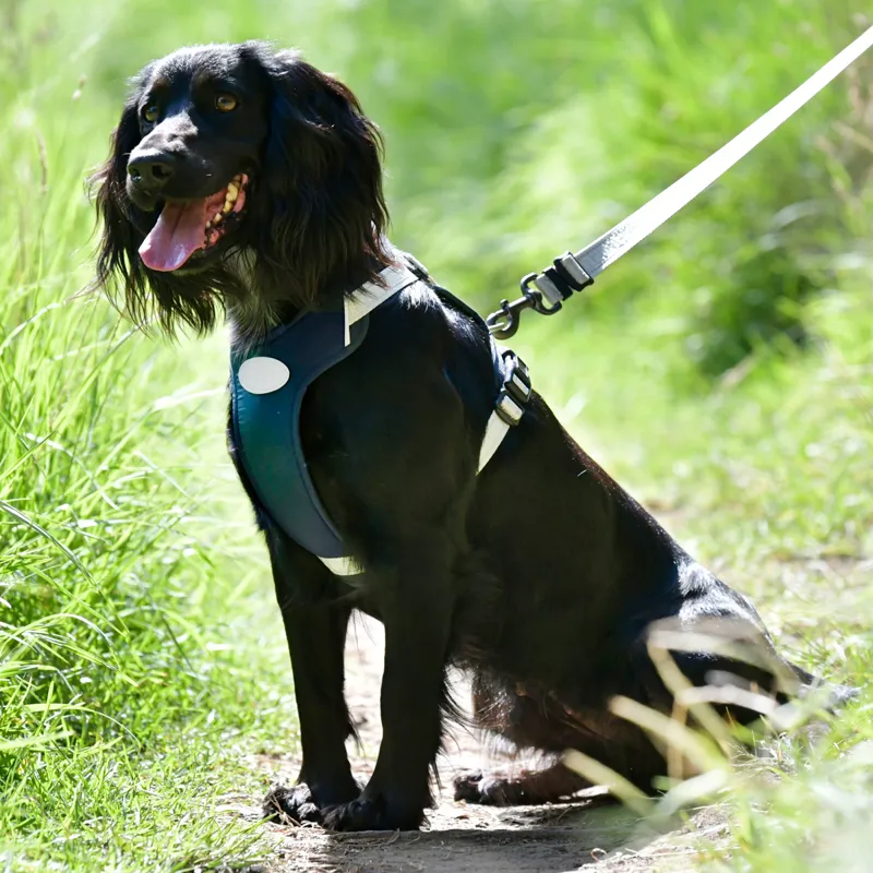 WeatherBeeta Explorer Dog Harness - Navy-2