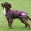 WeatherBeeta ComFiTec Premier Free Parka Deluxe Dog Coat - Maroon