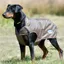 WeatherBeeta ComFiTec Windbreaker Free Deluxe Dog Coat - Olive