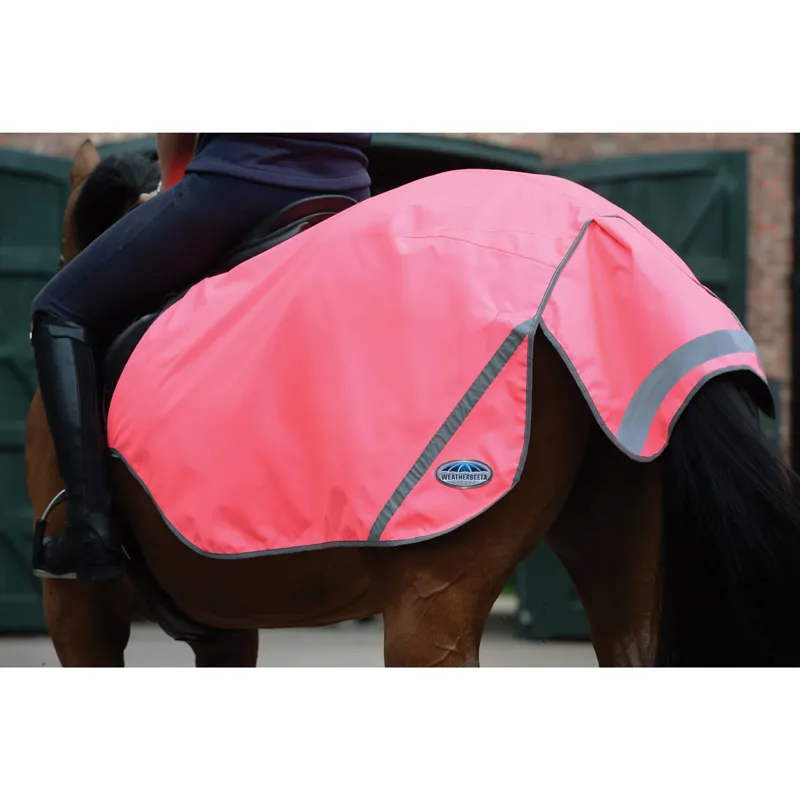WeatherBeeta 300D Reflective Exercise Sheet - Pink-2