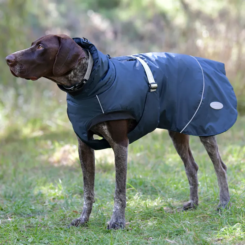 WeatherBeeta Explorer 160g Dog Coat - Navy