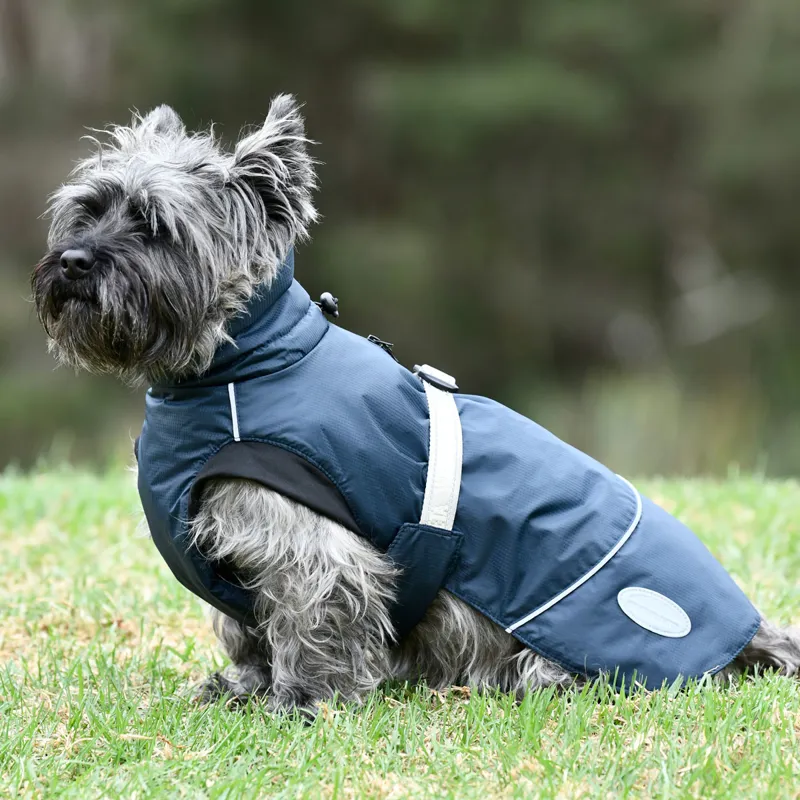 WeatherBeeta Explorer 160g Dog Coat - Navy-1