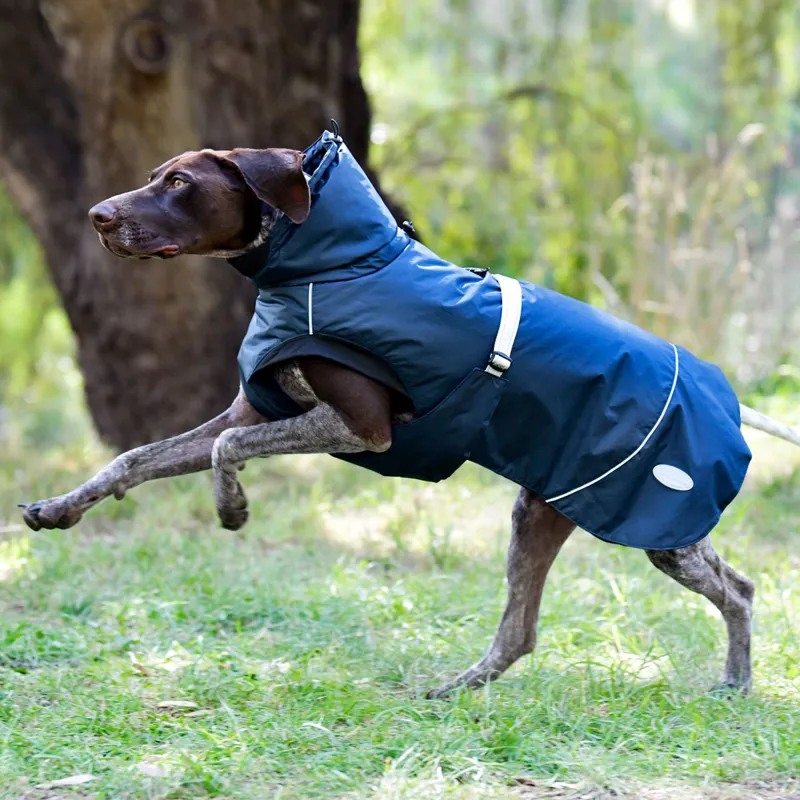 WeatherBeeta Explorer 160g Dog Coat - Navy-2