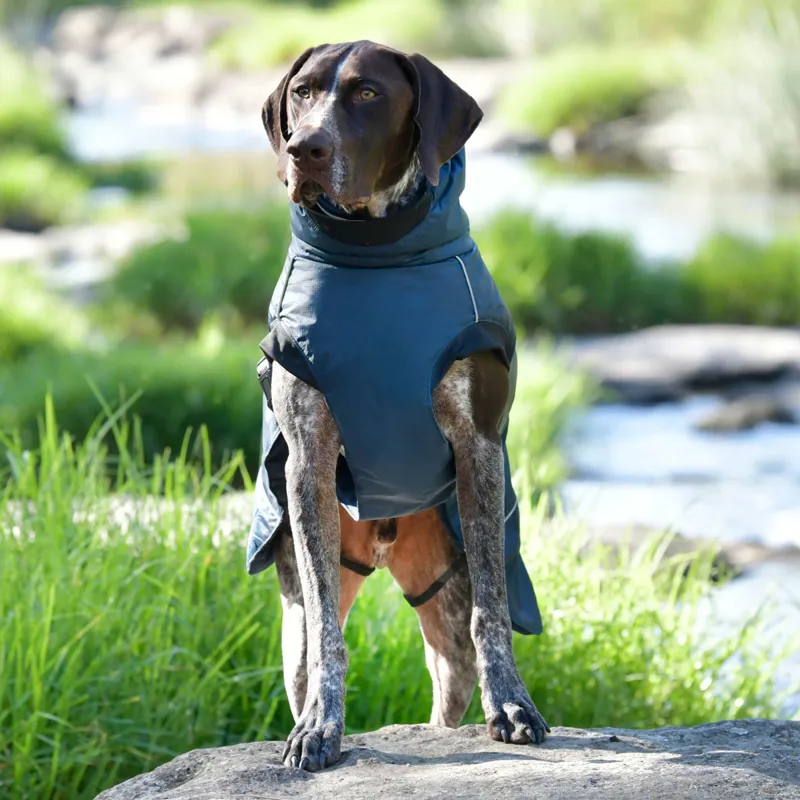 WeatherBeeta Explorer 160g Dog Coat - Navy-3