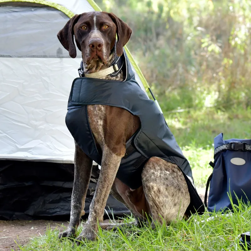 WeatherBeeta Explorer 160g Dog Coat - Navy-4