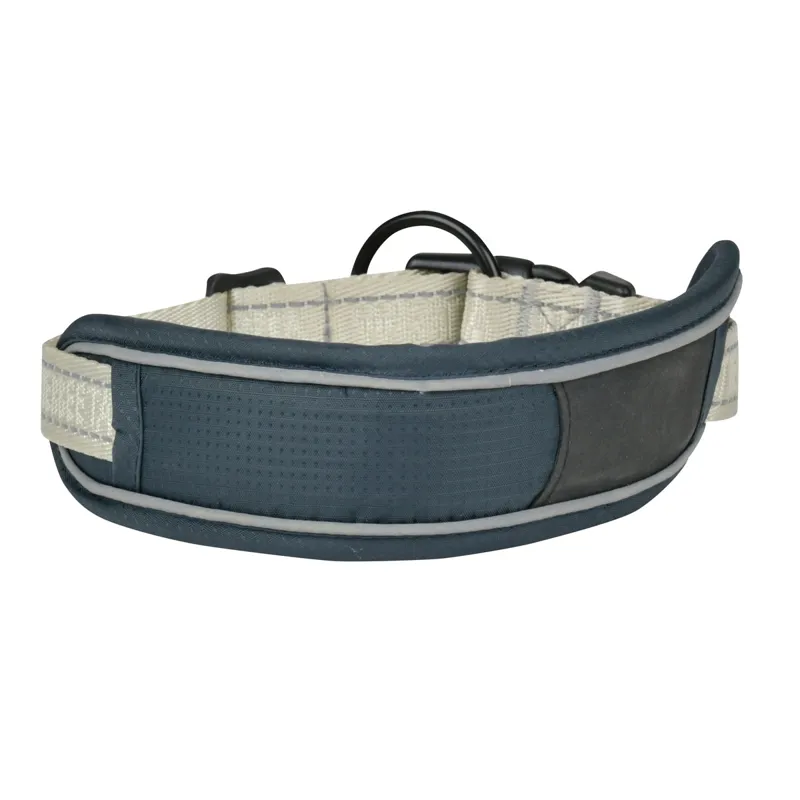 WeatherBeeta Explorer Dog Collar - Navy-1