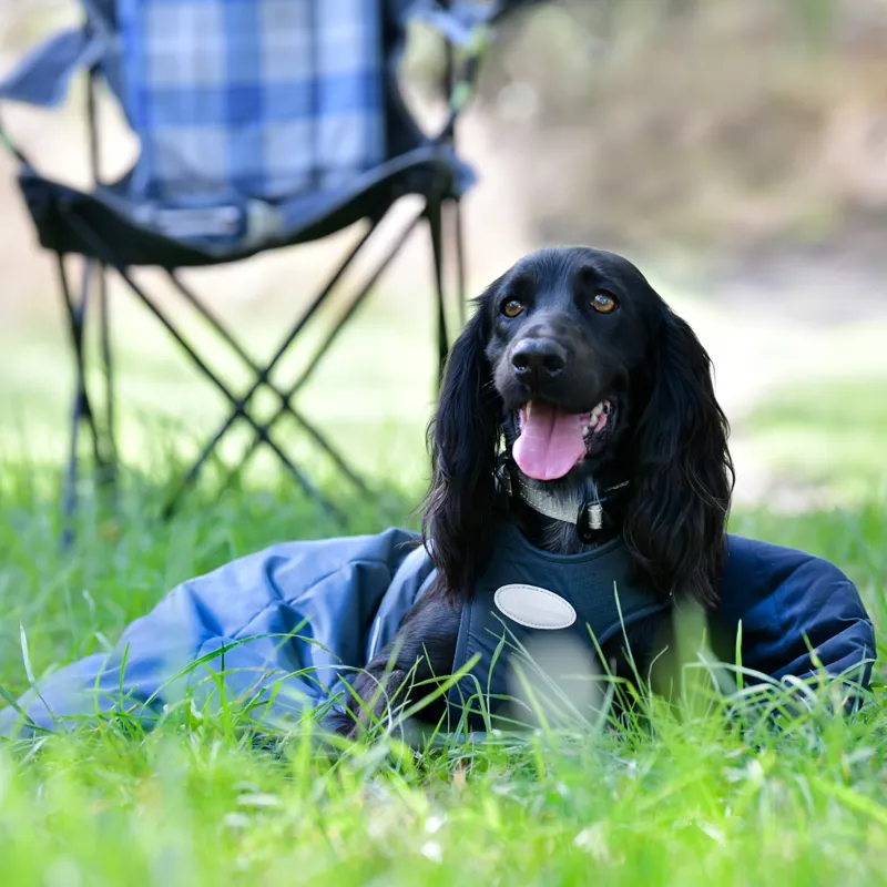 WeatherBeeta Explorer Dog Sleeping Bag - Navy-3
