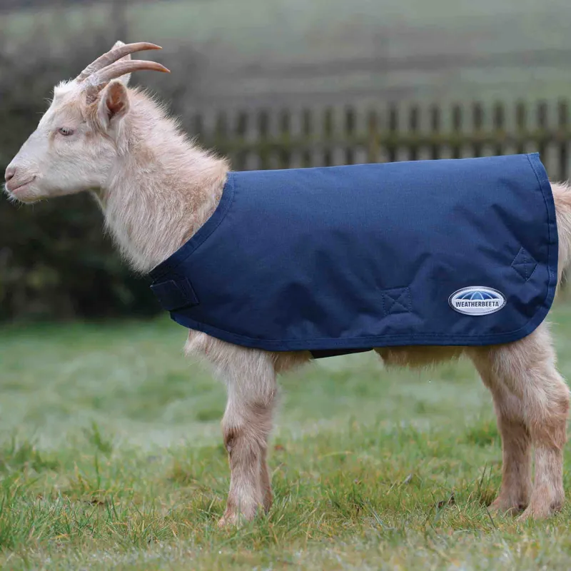 WeatherBeeta 100g Goat Coat - Navy