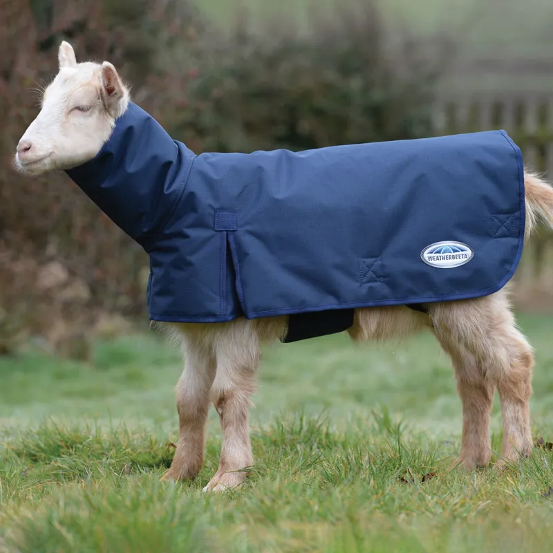 WeatherBeeta 100g Goat Coat with Neck - Navy