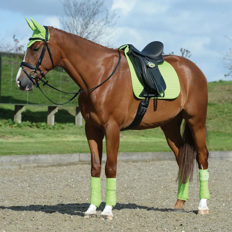 WeatherBeeta Prime Dressage Saddlecloth - Lime-1