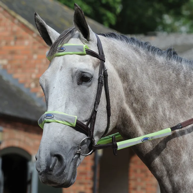 WeatherBeeta Reflective Bridle Kit - Yellow/Silver