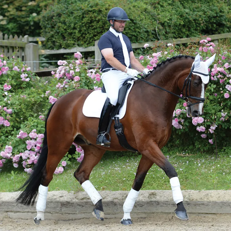 WeatherBeeta Prime Dressage Saddlecloth - White-1