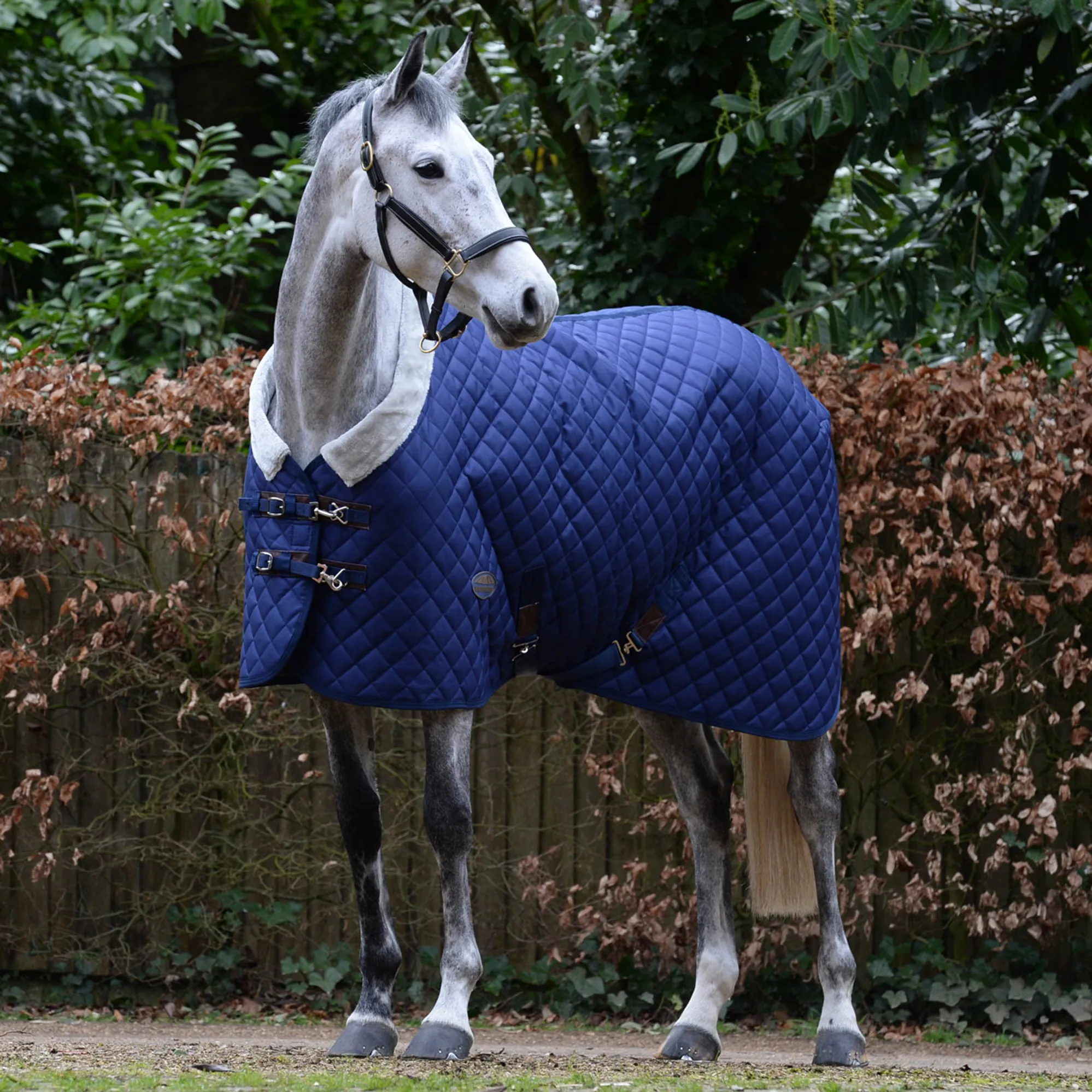 Protège-épaule pour cheval Weatherbeeta Deluxe | La sellerie de Maé Protège-épaule pour cheval Weatherbeeta Deluxe | La sellerie de Maé