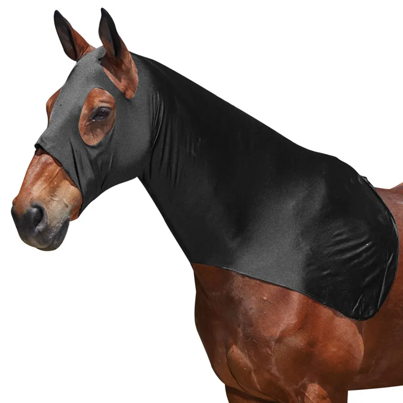 Weatherbeeta Lycra Stretch Hood - Black