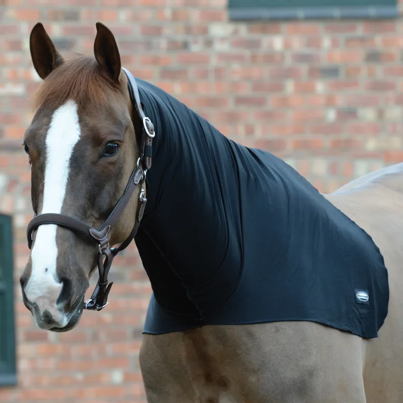 WeatherBeeta Stretch Neck Rug - Black