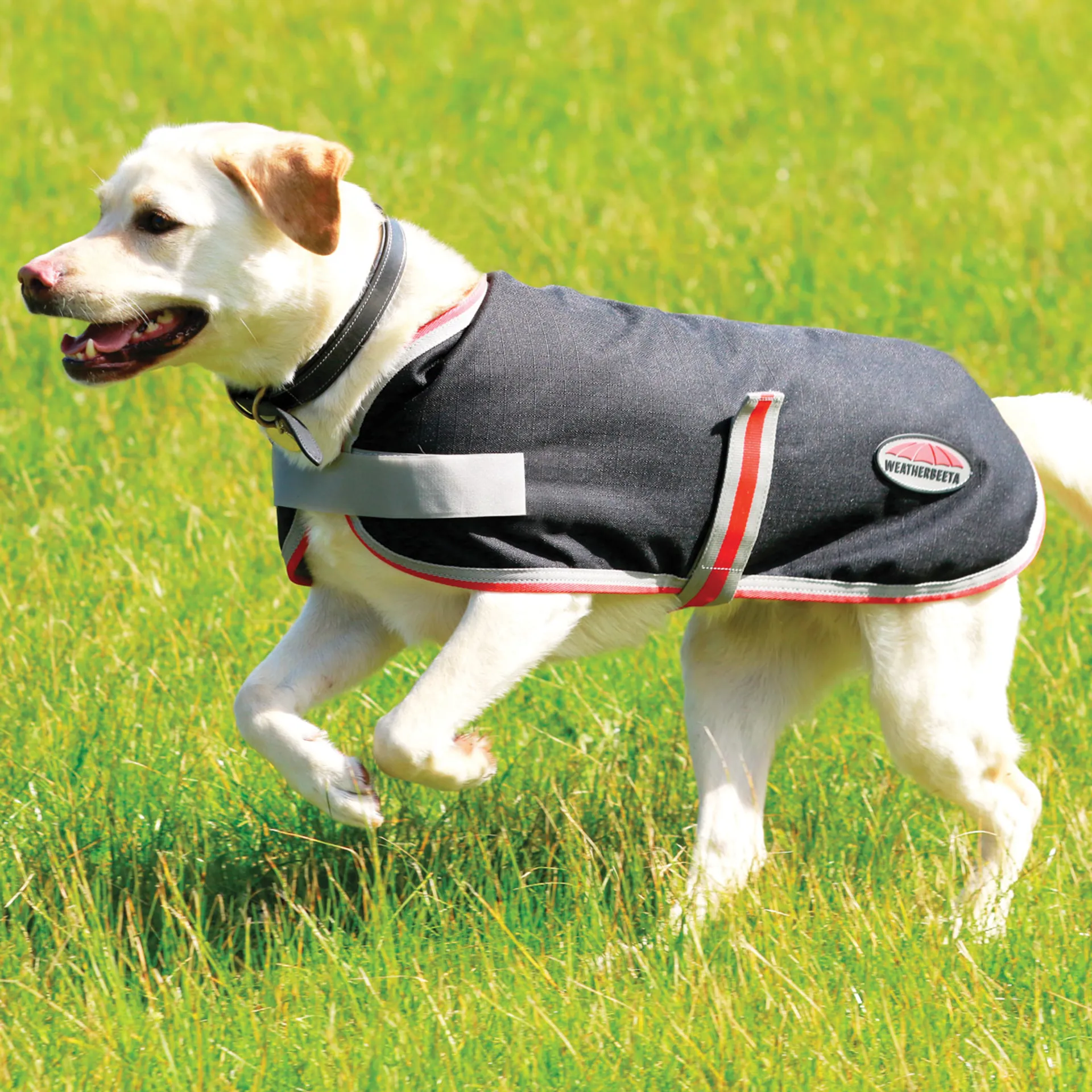 WeatherBeeta Therapy-Tec 1200D Waterproof Dog Coat Black/Silver