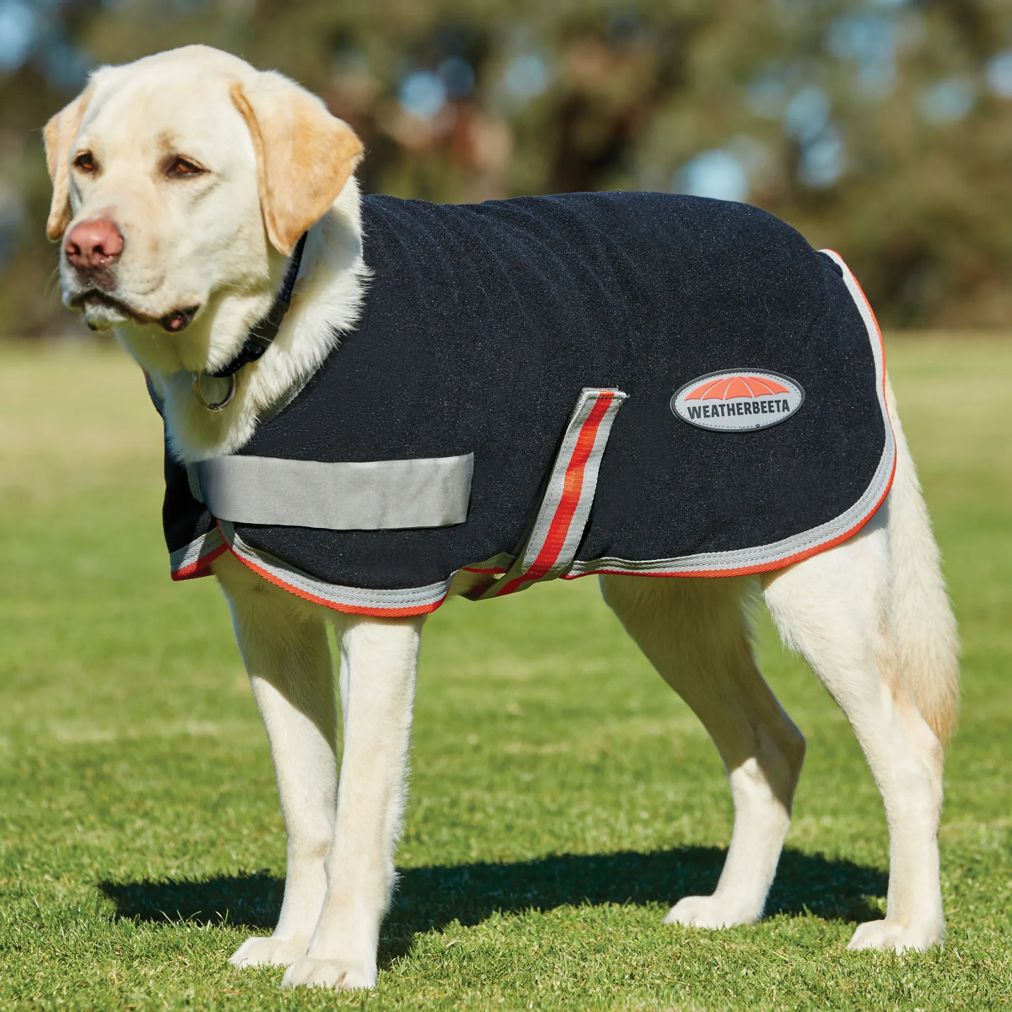 WeatherBeeta Therapy-Tec Fleece Dog Coat Black/Silver/Red