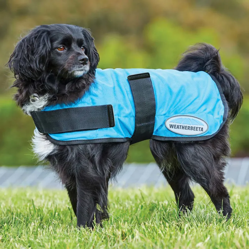 WeatherBeeta Therapy-Tec Cooling Dog Coat - Blue-1