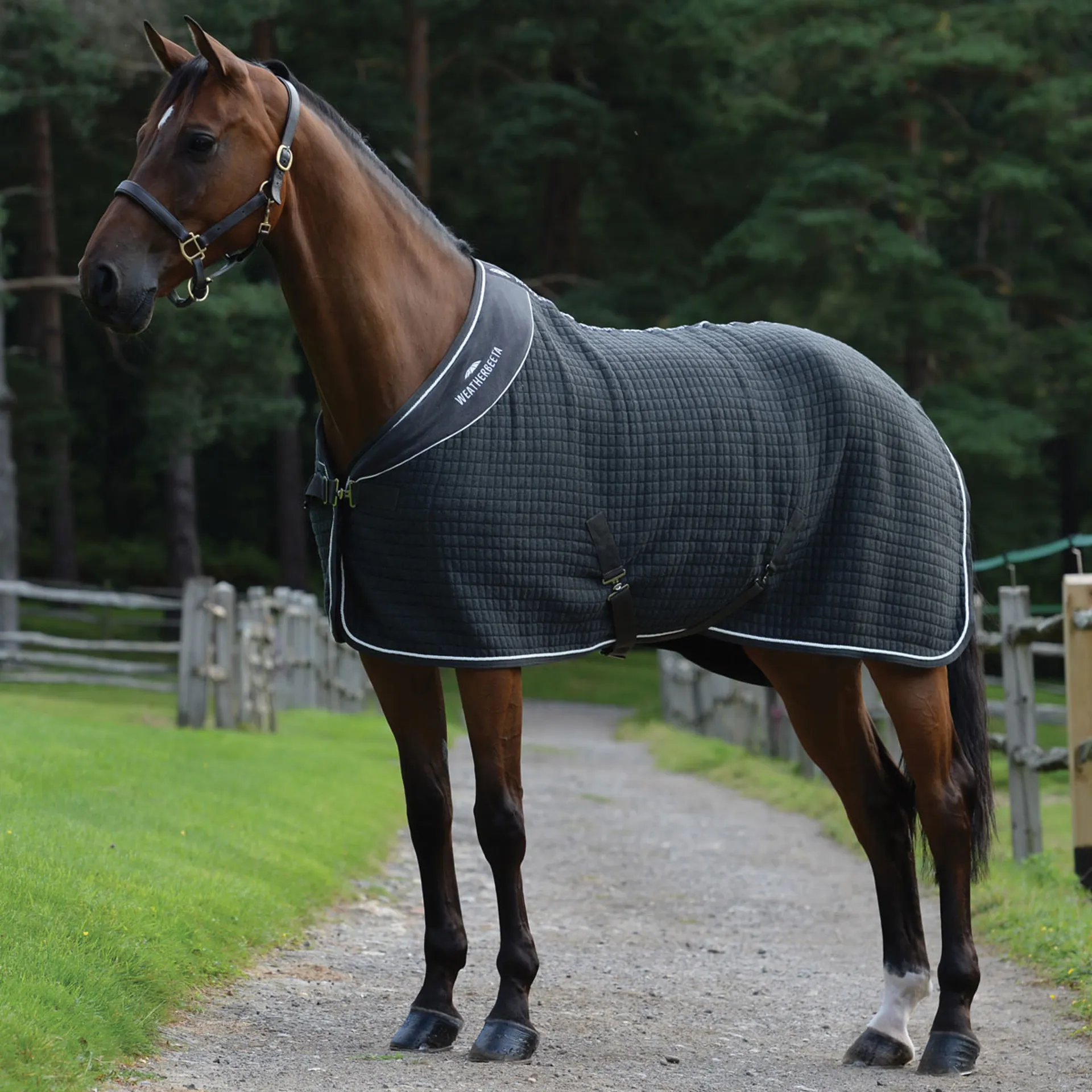 WeatherBeeta Thermocell Standard Neck Cooler Rug Dark Grey/White