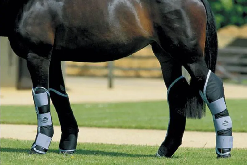 Weatherbeeta Travel Boots Set of 4 - Navy/Red/White-1