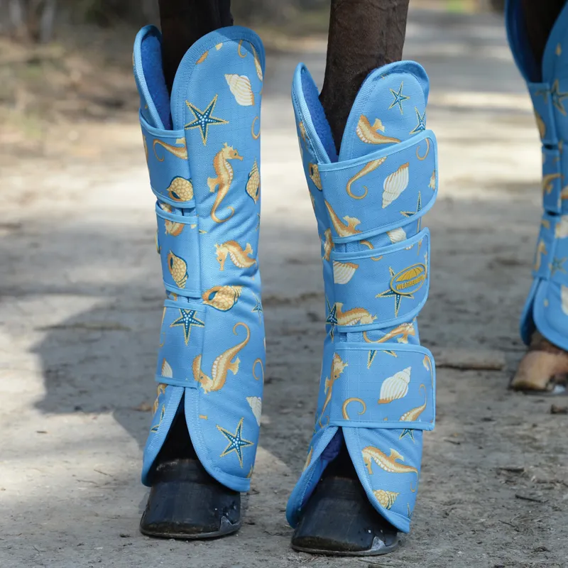 Weatherbeeta boots new arrivals