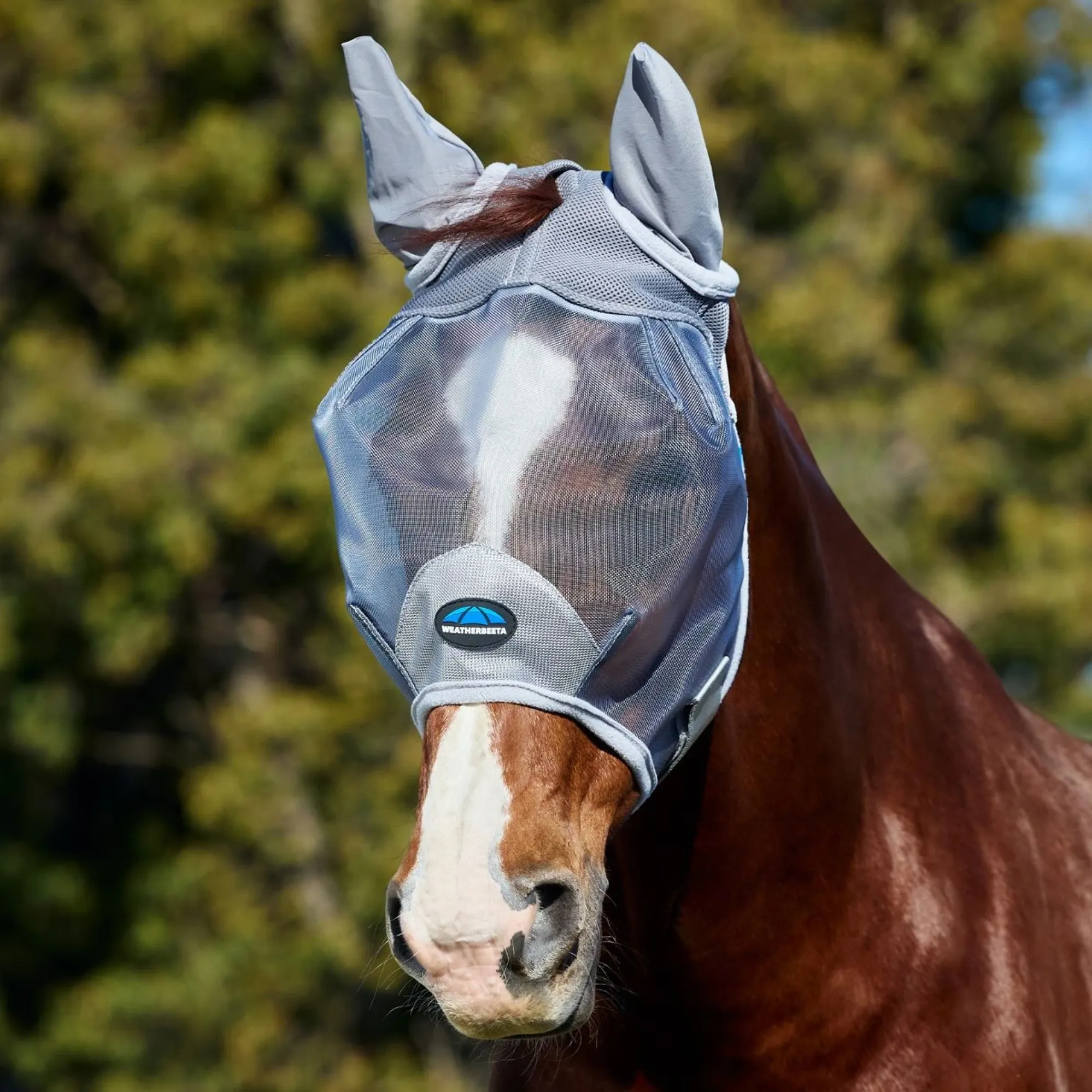 Fine Mesh Mask WeatherBeeta ComFiTec Fine Mesh Fly Mask with Ears - Grey