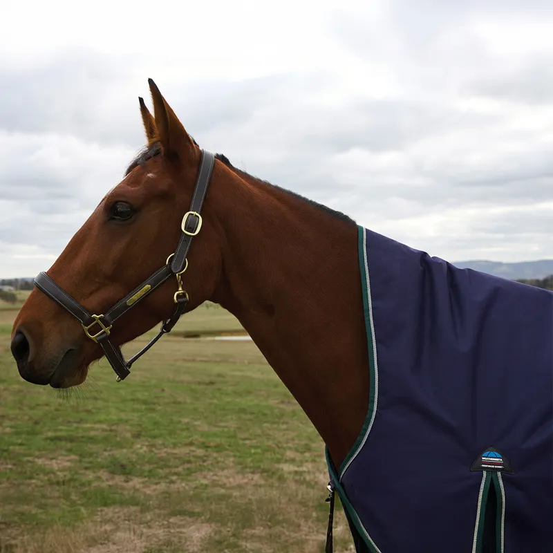 WeatherBeeta ComFiTec Plus Dynamic 100g High Neck Turnout Rug - Navy-3
