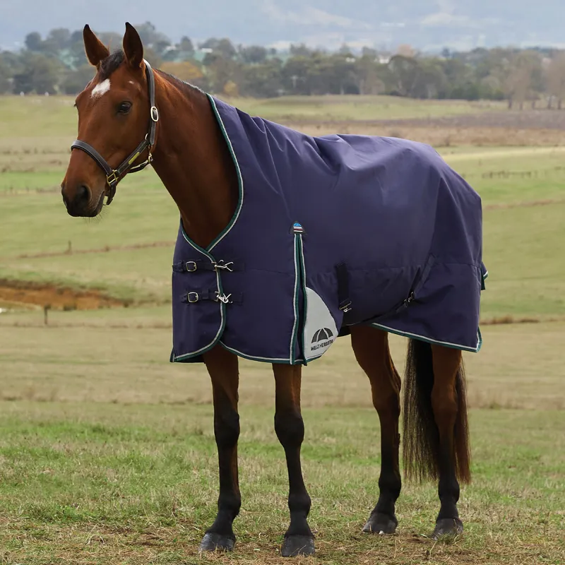 WeatherBeeta ComFiTec Plus Dynamic 100g High Neck Turnout Rug - Navy