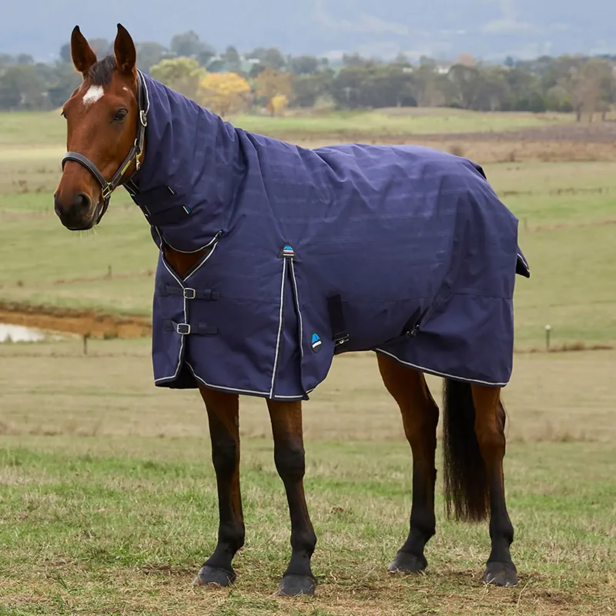 Weatherbeeta Turtle Rug WeatherBeeta ComFiTec Prelim 220g Combo Turnout Rug - Navy Plaid