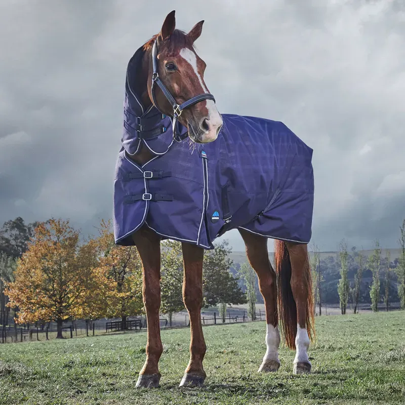 WeatherBeeta ComFiTec Prelim 220g Combo Turnout Rug - Navy Plaid-3