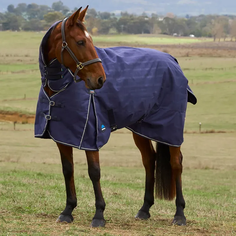WeatherBeeta ComFiTec Prelim 220g Combo Turnout Rug - Navy Plaid-8