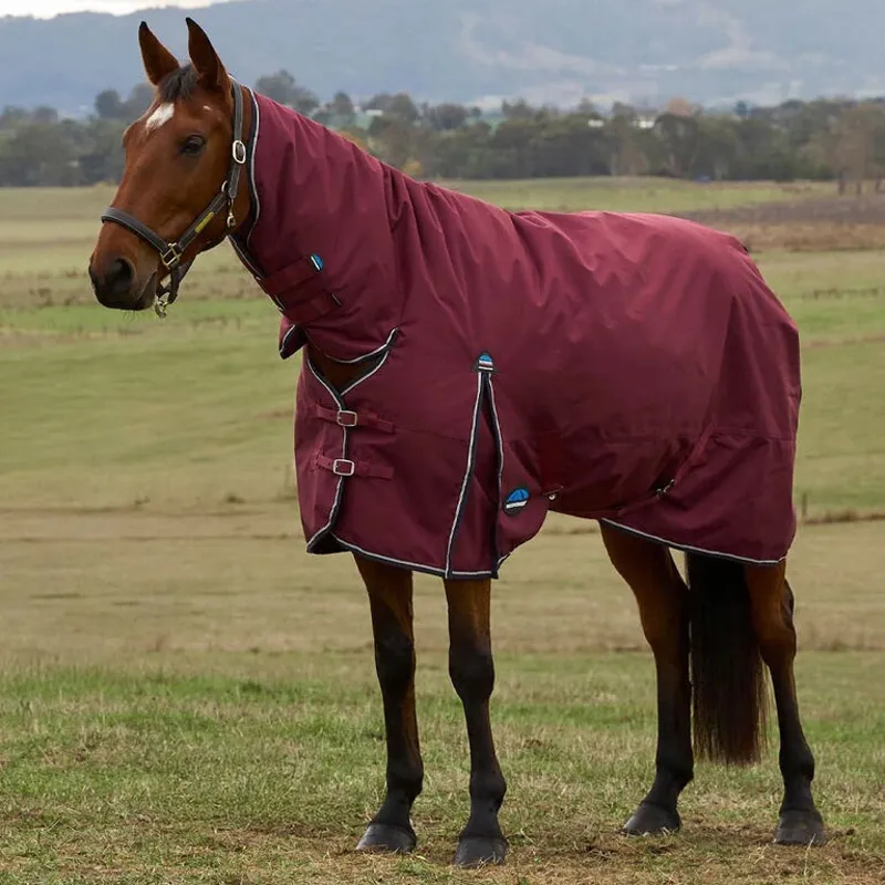 WeatherBeeta ComFiTec Prelim 220g Combo Turnout Rug - Burgundy/Navy-1